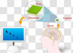 Interface Computer Software Information Data - Technology Transparent PNG