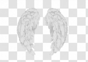 angel wings png clipart preschool