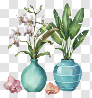 Cartoon - Decorative Vases With Flowers And Plants Transparent PNG