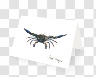 Insect Butterfly 2M Wing Butterflies And Moths - Crab Claws Transparent PNG