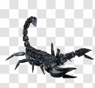 Scorpion 3D Printing Modeling Computer Graphics - Threedimensional Space - Black Metallic Luster Realistic Transparent PNG