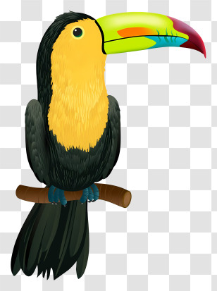 Bird Parrot - Toucan Sitting On A Branch Illustration Transparent PNG