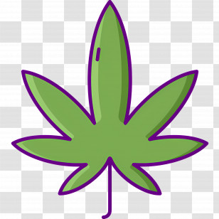 Cannabis Leaf - Green Cannabis Leaf Illustration Transparent PNG