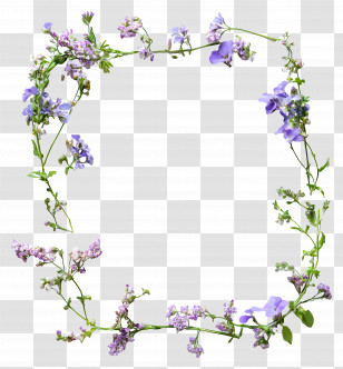 Flower Frame - Floral Frame With Purple Flowers Transparent PNG