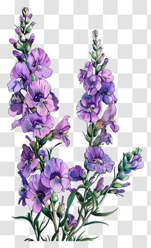 Purple Snapdragons Flowers - Purple Wildflower Botanical Illustration Transparent PNG