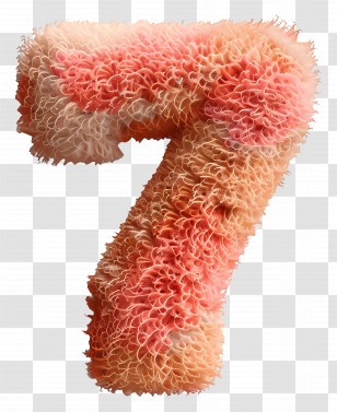 Number 7 - Fluffy Number Seven Transparent PNG