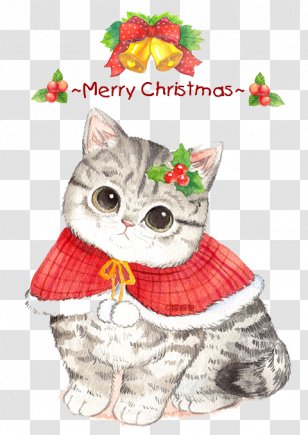 Whiskers Christmas Ornament Cat Eve - Cartoon Transparent PNG