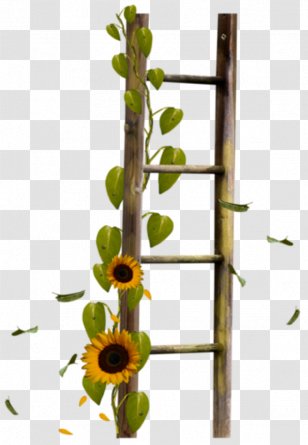 Clip Art - Ladder - Photography Transparent PNG