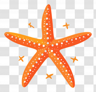 Starfish - Bright Orange Starfish Illustration Transparent PNG