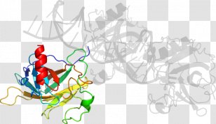 Clip Art Illustration Graphic Design Line - Tree - Cytochrome P450 Reductase Transparent PNG