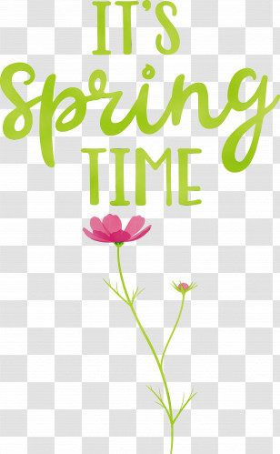 Floral Design Transparent PNG
