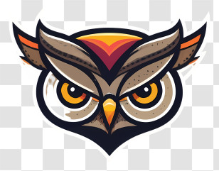 Owl - Cartoon Owl Face Transparent PNG