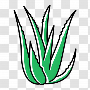 Aloe Vera - Aloe Vera Plant Drawing Transparent PNG