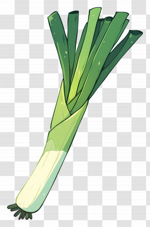 Leek - Cartoon Styled Leek Vegetable Transparent PNG