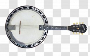 Banjo Guitar Ukulele Uke Mandolin-banjo Transparent PNG