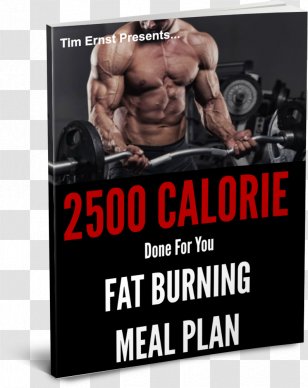 Weight Training Bodybuilding Muscle Hypertrophy Dietary Supplement Exercise - Heart Transparent PNG