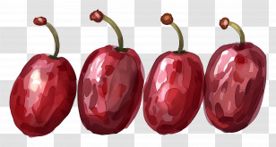 Dates Fruit - Watercolor Painting Of Red Cherries Transparent PNG