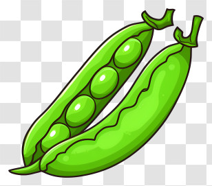 Green Pea - Illustration Of Green Pea Pods Transparent PNG