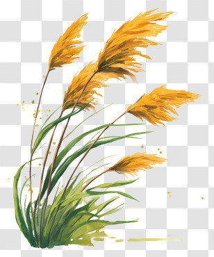 Watercolor Reed - Golden Grass In The Wind Transparent PNG
