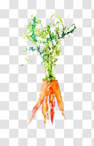 Watercolor Painting Vegetable Graphic Design Illustration - Work Of Art - Carrot Transparent PNG