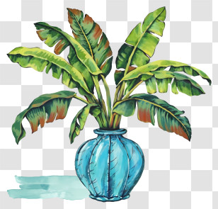 Cartoon - Banana Plant In Blue Vase Illustration Transparent PNG