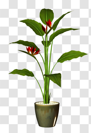 Potted Plants - Potted Plant With Red Flowers For Indoor Decor Transparent PNG