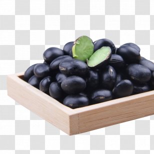 Organic Food Black Turtle Bean Refried Beans - Vitis - Green Core Transparent PNG