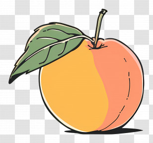 Peach - Yellow And Orange Peach Illustration Transparent PNG