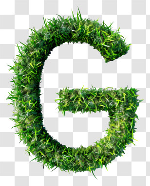 Letter G - Grass Textured Letter G For Nature Themes Transparent PNG
