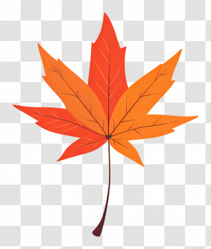 Autumn Maple Leaf - Bright Orange Maple Leaf Illustration Transparent PNG