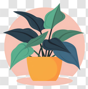 Cartoon - Potted Green Plant For Home Decor Transparent PNG