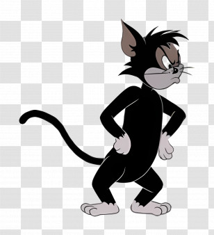 Butch Cat - Angry Black Cat Cartoon Illustration Transparent PNG