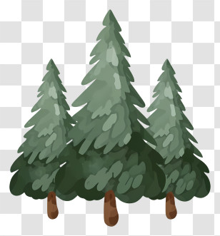 Tall Pine Trees - Cluster Of Pine Trees In Minimalist Design Transparent PNG