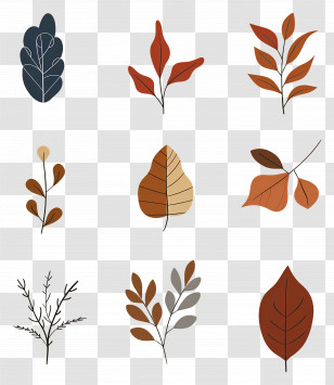 Fall Leaves - Colorful Autumn Leaf Collection Transparent PNG