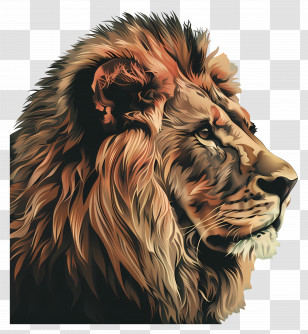 Lion - Majestic Lion With Mane Transparent PNG