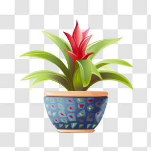 Bromeliad - Potted Red Bromeliad Plant Illustration Transparent PNG