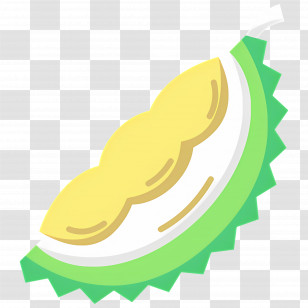 Durian - Durian Tropical Fruit Illustration Transparent PNG