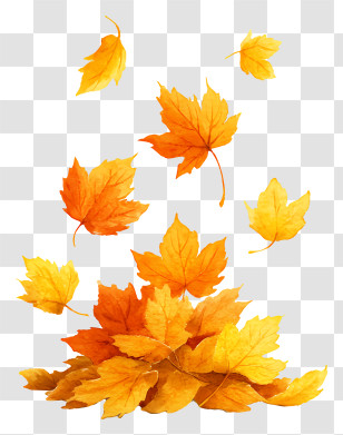 A Pile Of Maple Leaves - Falling Autumn Maple Leaves Transparent PNG