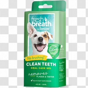 Teeth Cleaning Dental Calculus Tooth Brushing Mouthwash Gel - Canine Transparent PNG