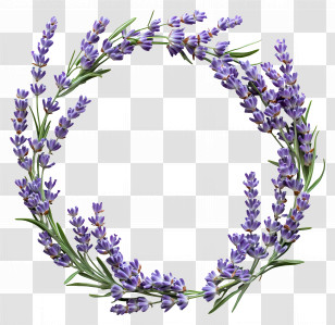 Circle Frame - Lavender Wreath Decoration Transparent PNG