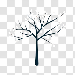 Cherry Blossom Tree - Leafless Tree Silhouette Transparent PNG