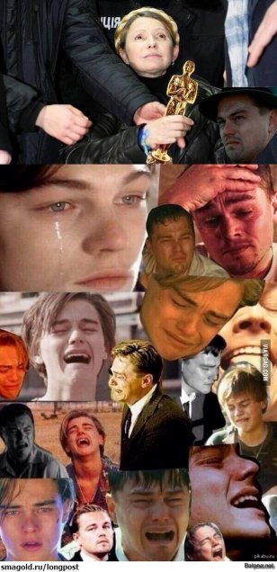 Leonardo DiCaprio James Cameron The Wolf Of Wall Street Titanic Academy Awards - Tree - Dicaprio Transparent PNG