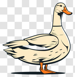 White Duck - Illustration Of A White Duck In Cartoon Style Transparent PNG