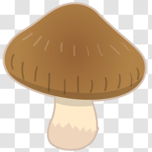 Mushroom - Detailed Brown Mushroom Art Transparent PNG