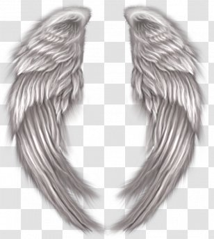 Clip Art - Silver - Angel Wings Transparent PNG