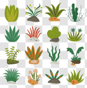 Plants - Colorful Cartoon Plant Collection Transparent PNG