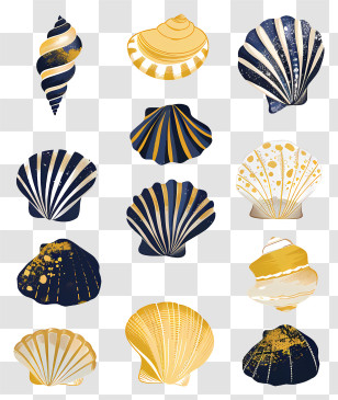 Seashells - Decorative Gold And Navy Blue Seashells Transparent PNG