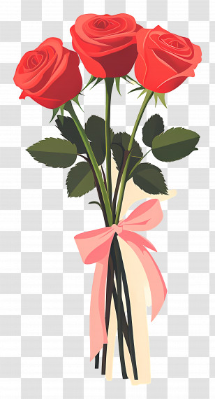 Rose Bouquet - Red Roses Tied With Pink Ribbon Transparent PNG