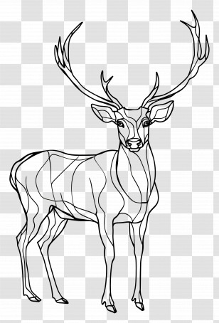 Deer - Elegant Line Art Illustration Of A Deer Transparent PNG
