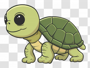 Cartoon Turtle - Cute Turtle Cartoon Illustration Transparent PNG